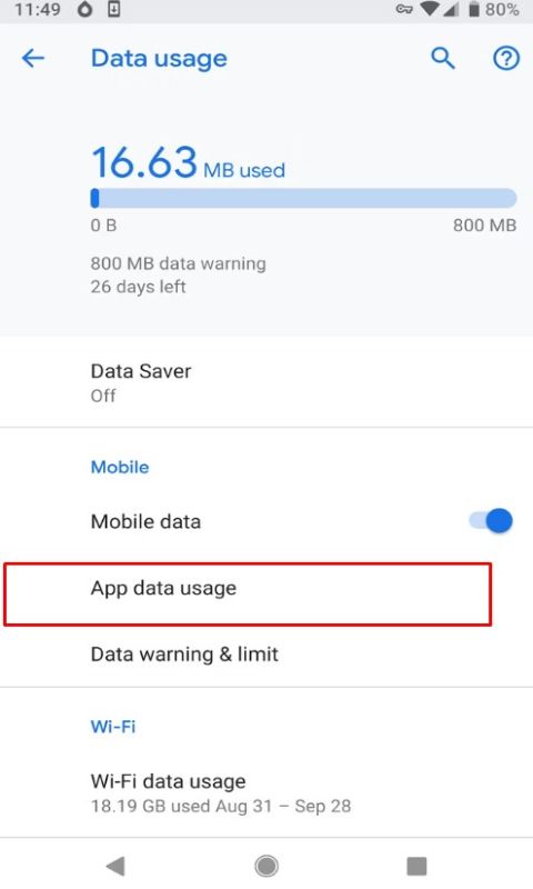 tap "App data usage."