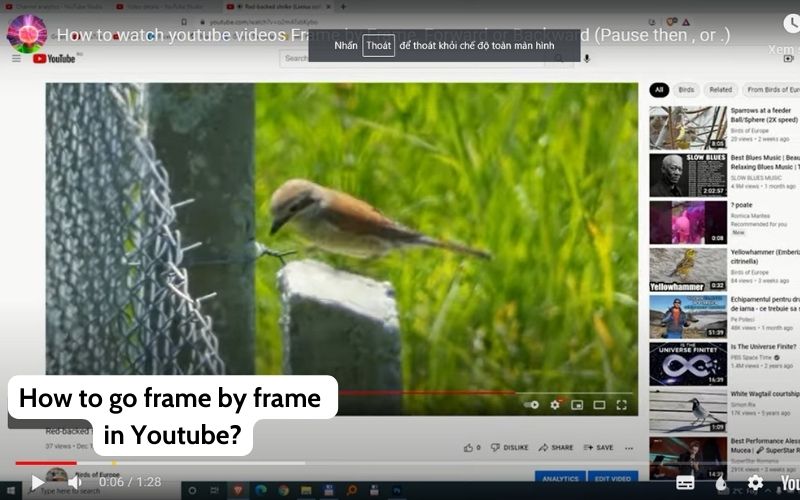 How to go frame by frame in Youtube?